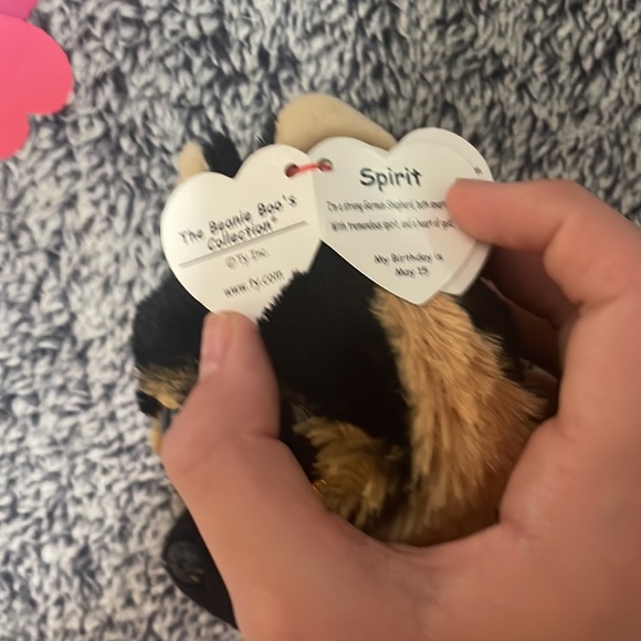 This is a beanie boo! she’s a small little dog that loves to play! - Picture 6 of 6